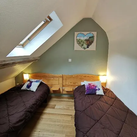 公寓 Duplex Spacieux Avec Vue Montagne Au Coeur De Cauterets, 6 A 8 Pers, 3 Chambres, 2 Sdb