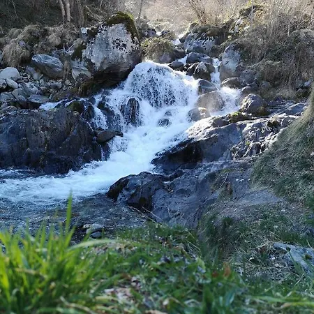 Valériane