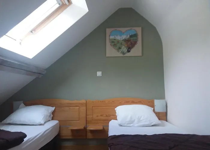 Duplex Spacieux Avec Vue Montagne Au Coeur De Cauterets, 6 A 8 Pers, 3 Chambres, 2 Sdb *