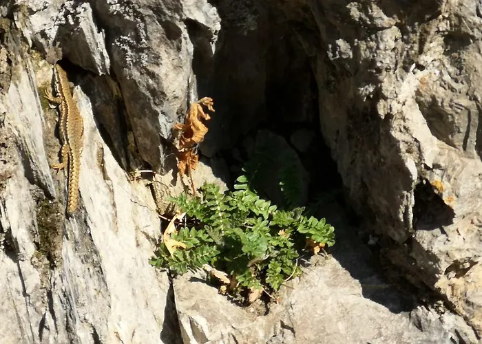 Duplex Spacieux Avec Vue Montagne Au Coeur De Cauterets, 6 A 8 Pers, 3 Chambres, 2 Sdb * Cauterets